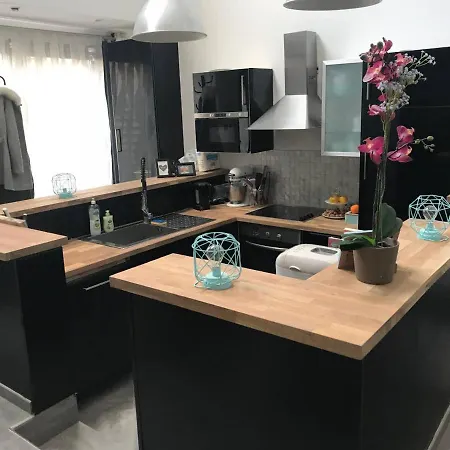 Feriehus Loft Lille - Acces Direct Hypercentre